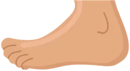 foot.webp